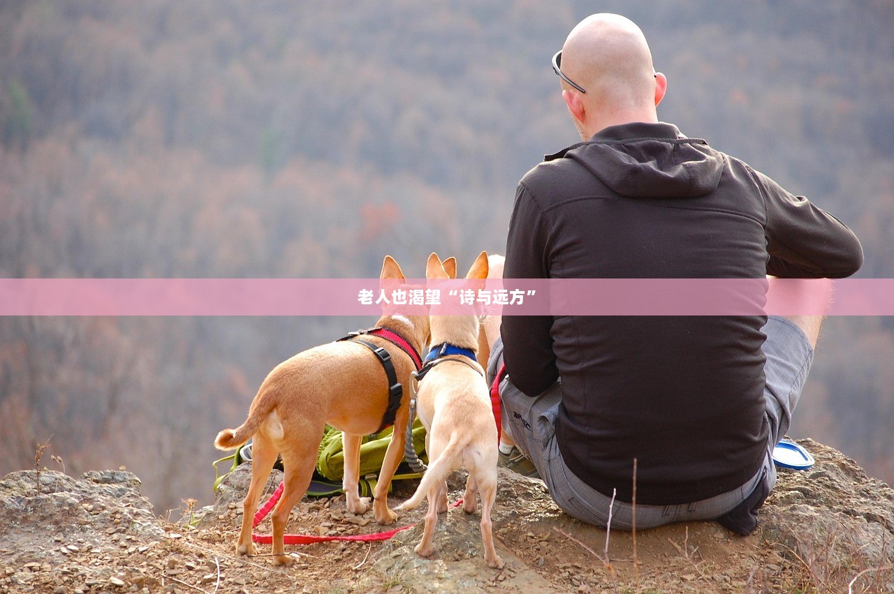 老人也渴望“诗与远方”