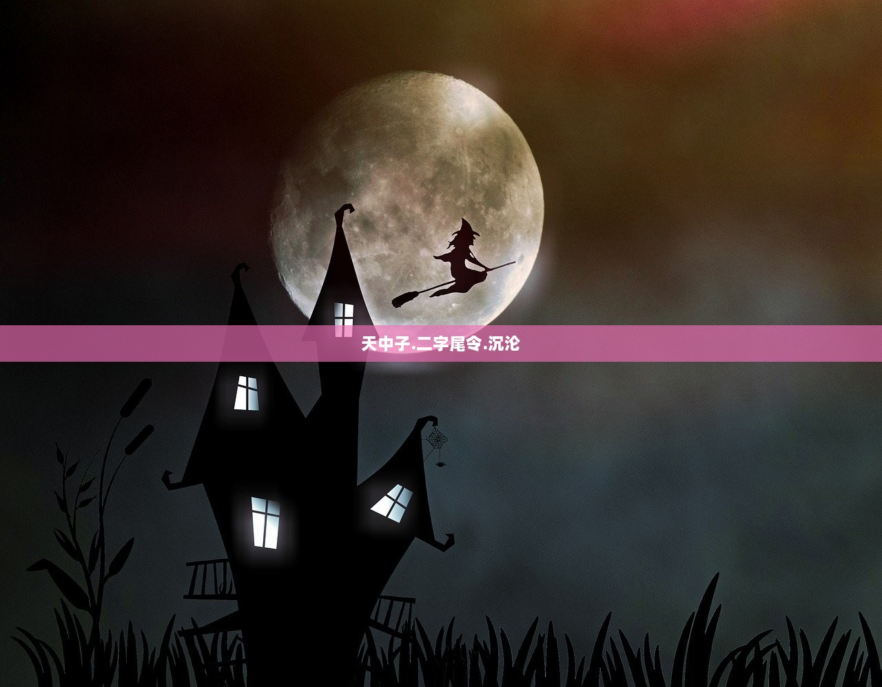 天中子.二字尾令.沉沦