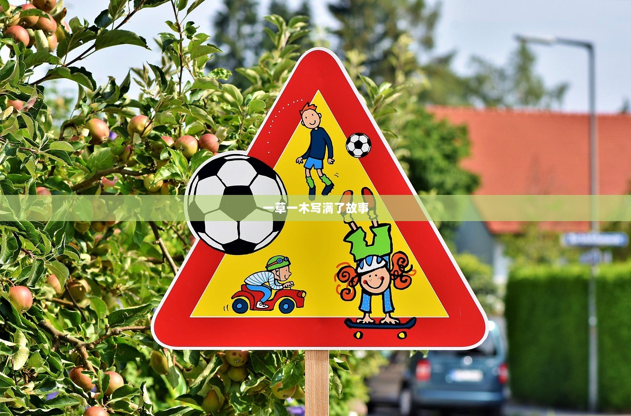 一草一木写满了故事