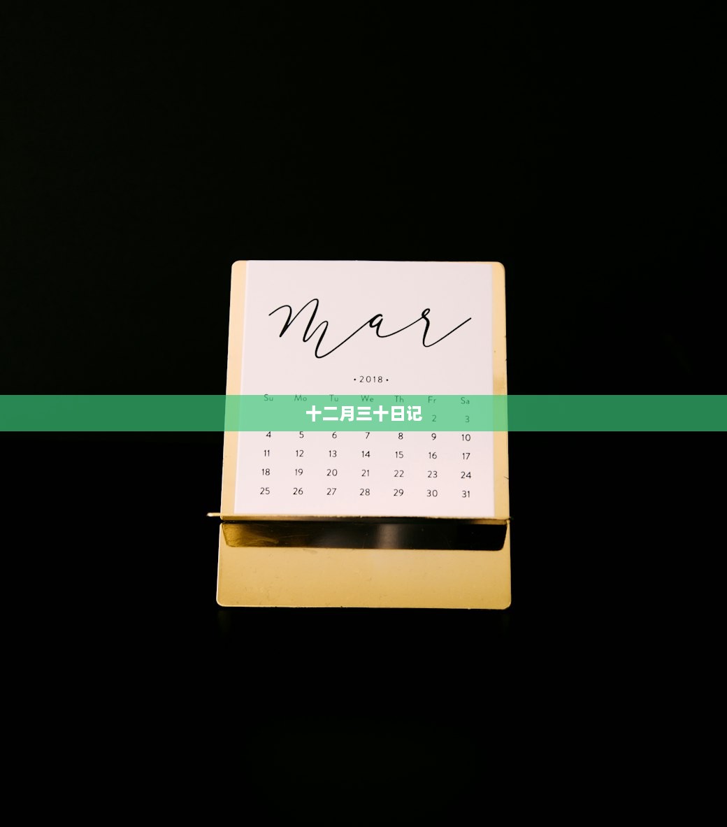 十二月三十日记