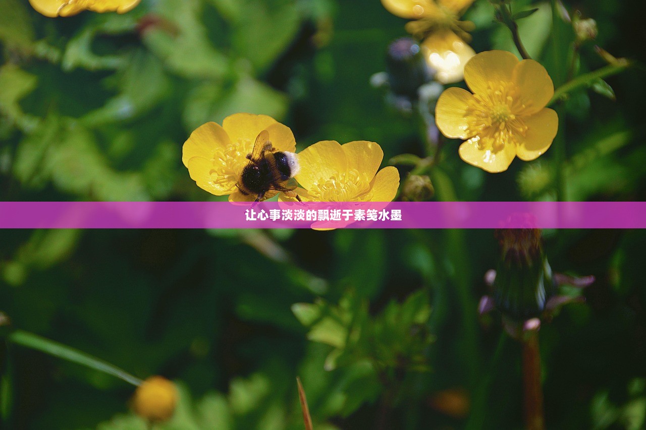 让心事淡淡的飘逝于素笺水墨