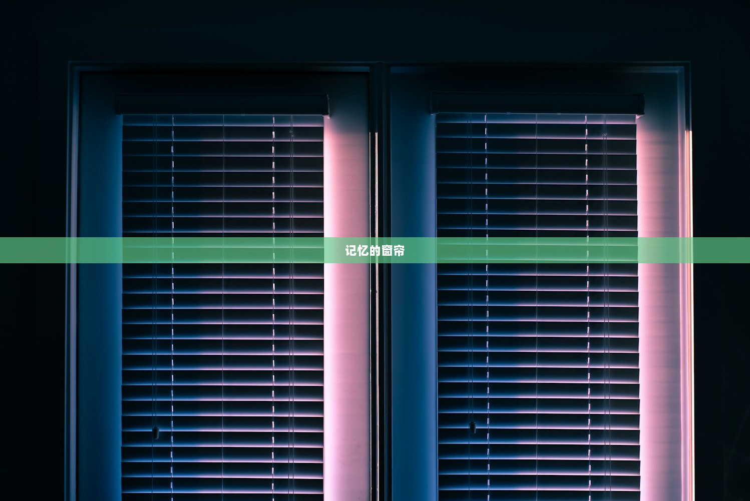 记忆的窗帘
