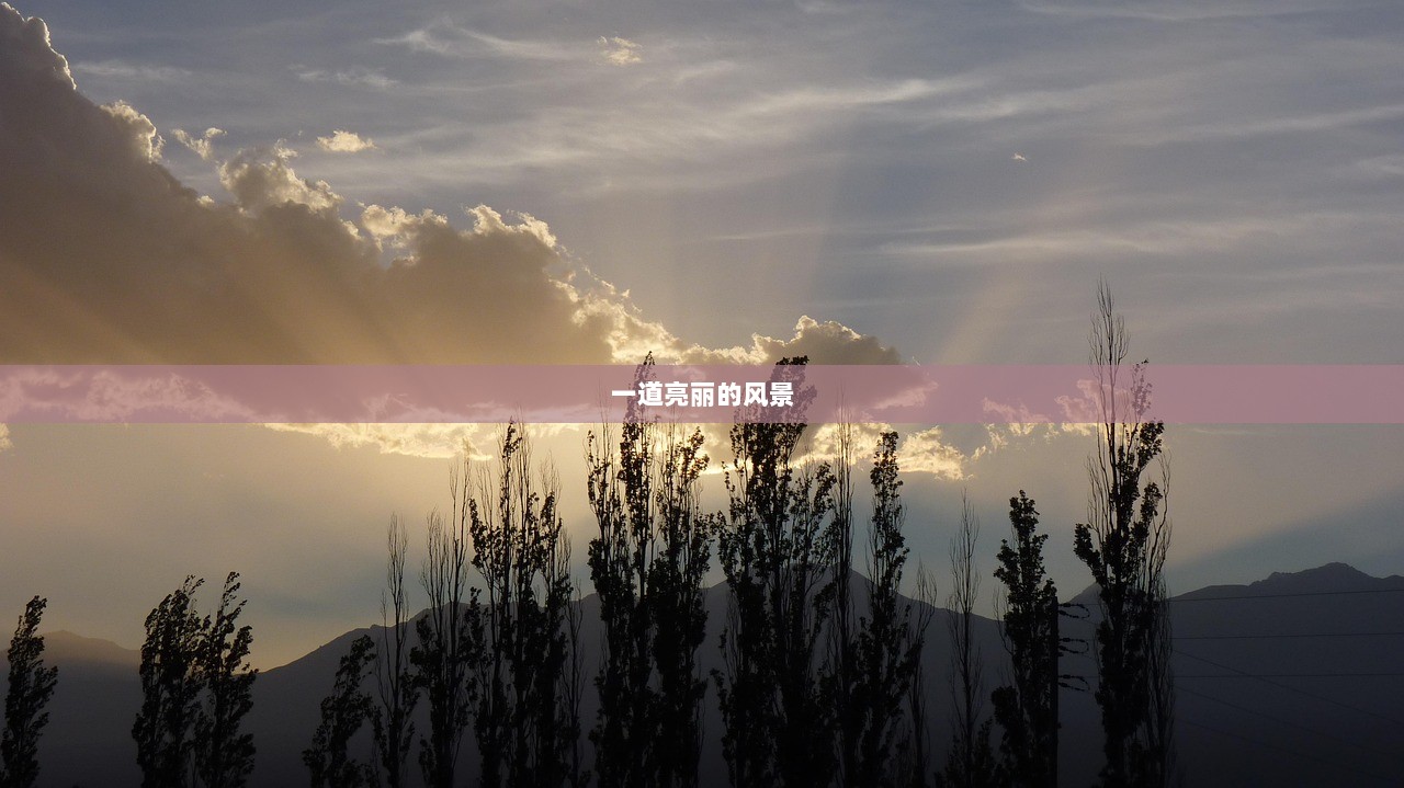 一道亮丽的风景