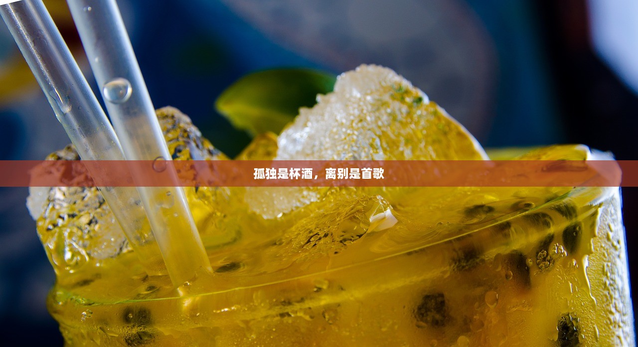 孤独是杯酒，离别是首歌