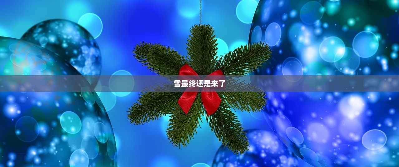 雪最终还是来了