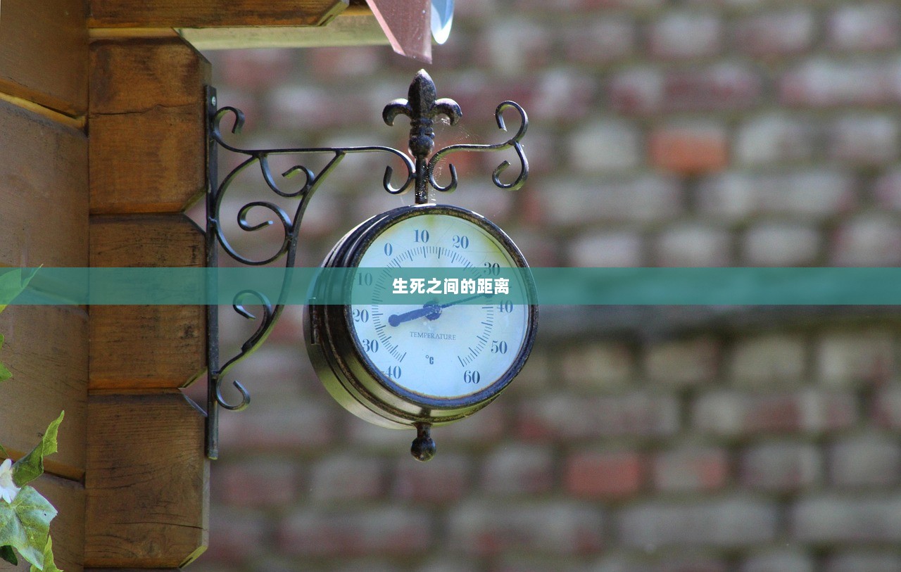 生死之间的距离