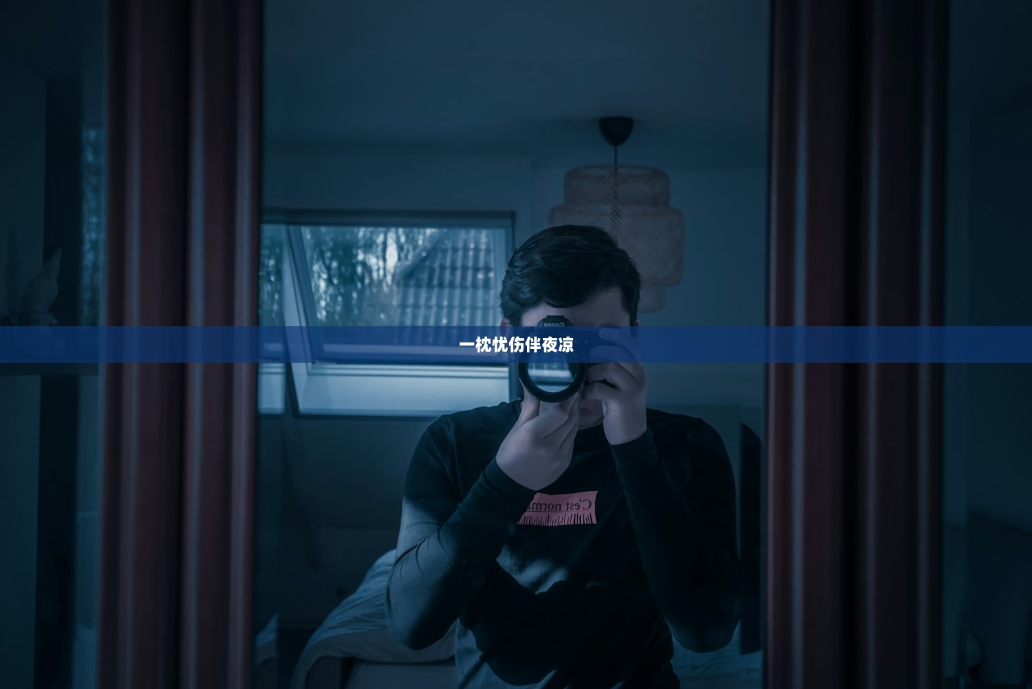 一枕忧伤伴夜凉