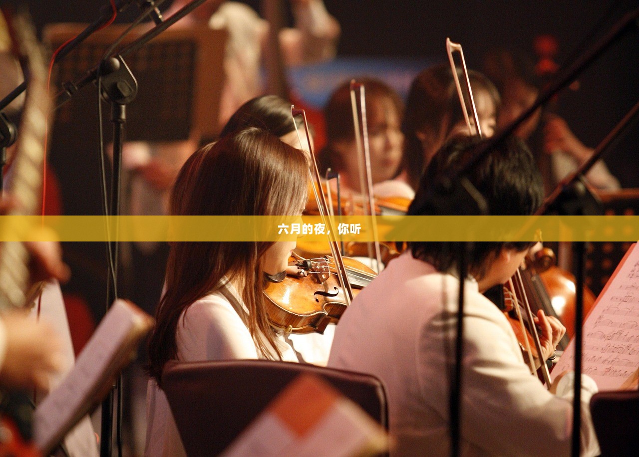 六月的夜，你听
