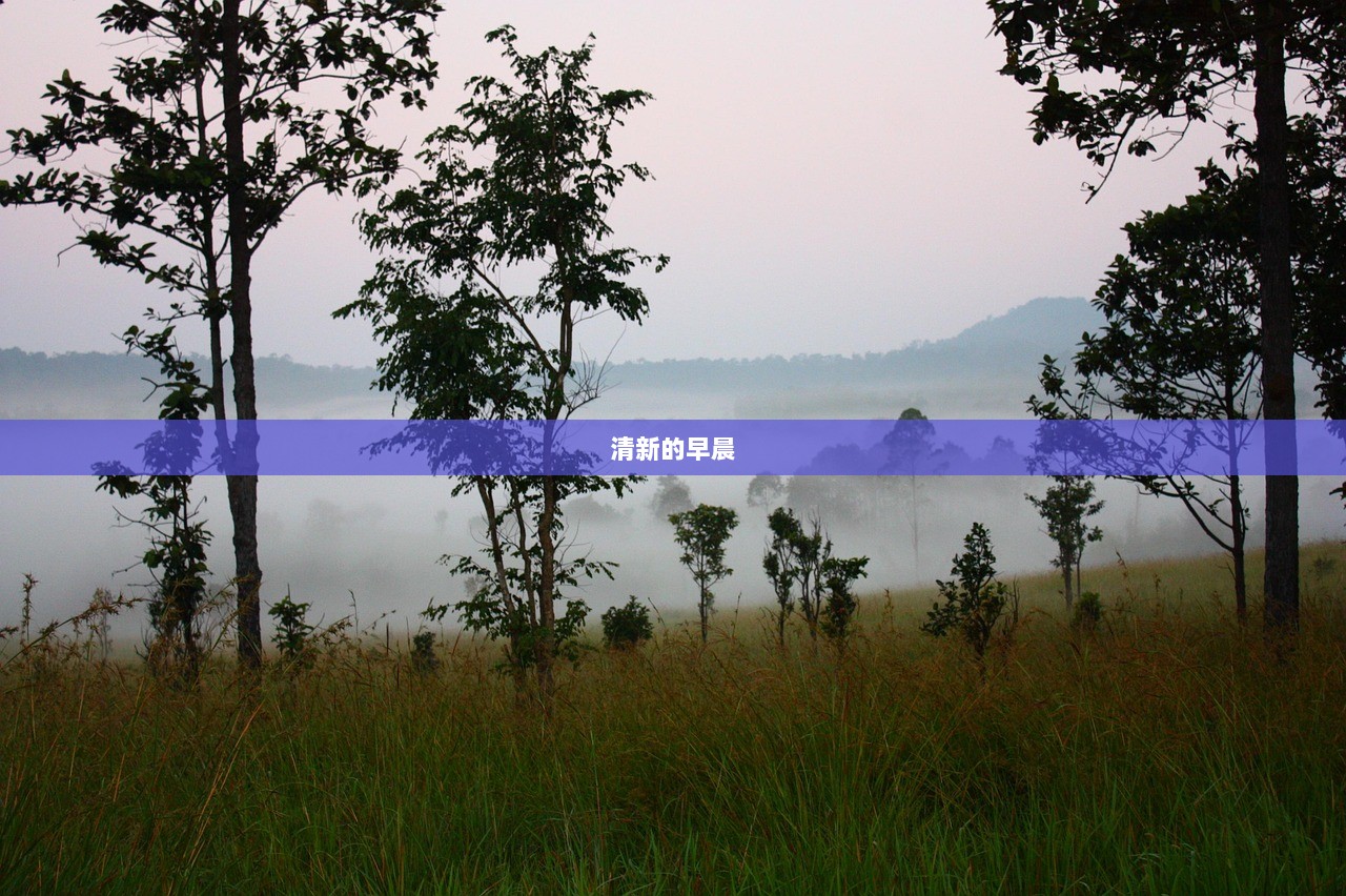 清新的早晨