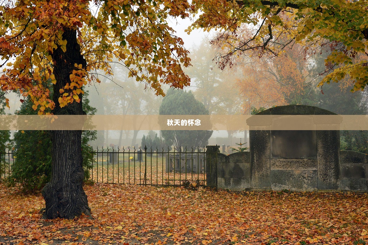 秋天的怀念