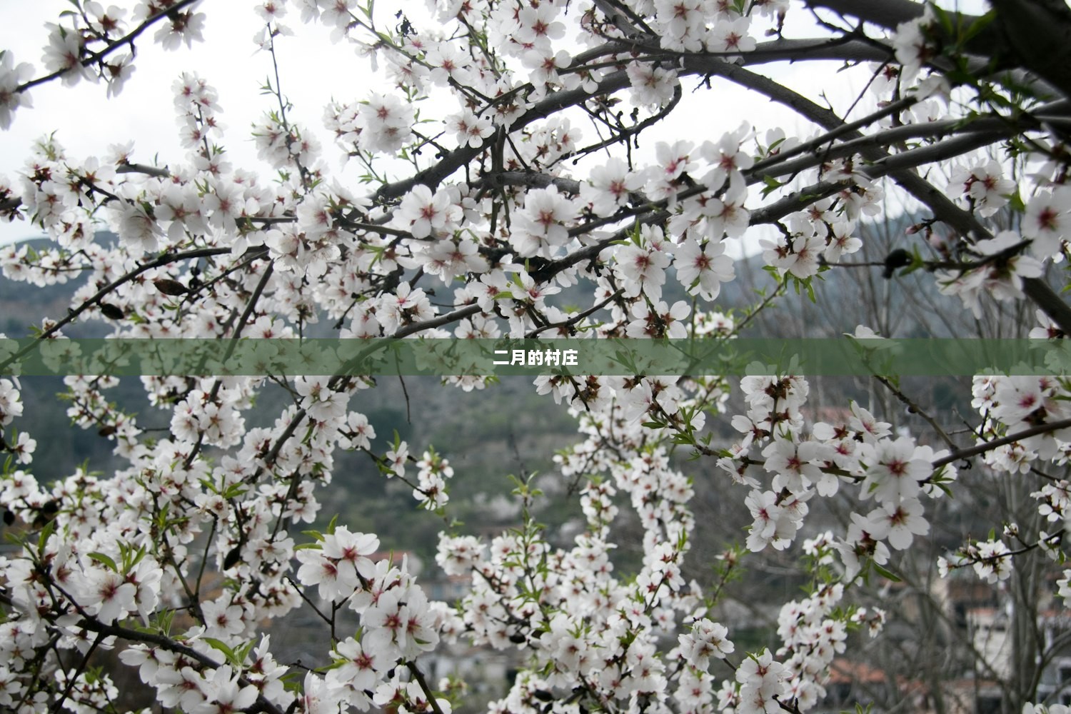 二月的村庄