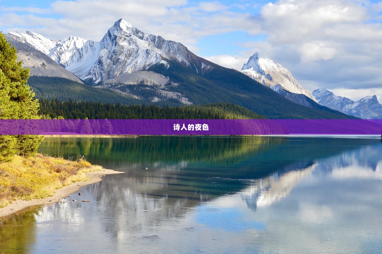 诗人的夜色  第1张