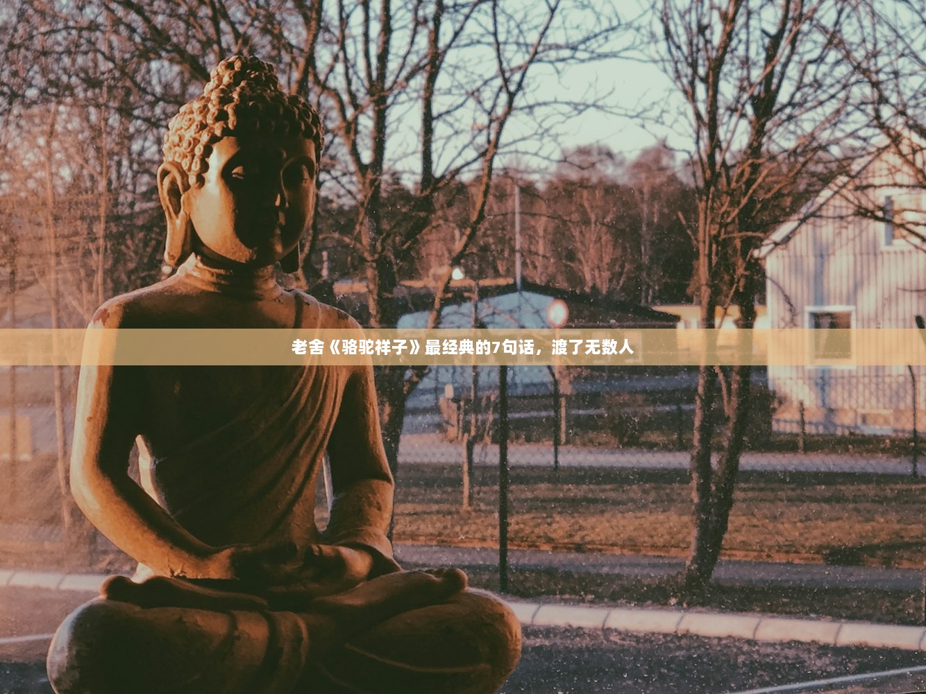 老舍《骆驼祥子》最经典的7句话，渡了无数人