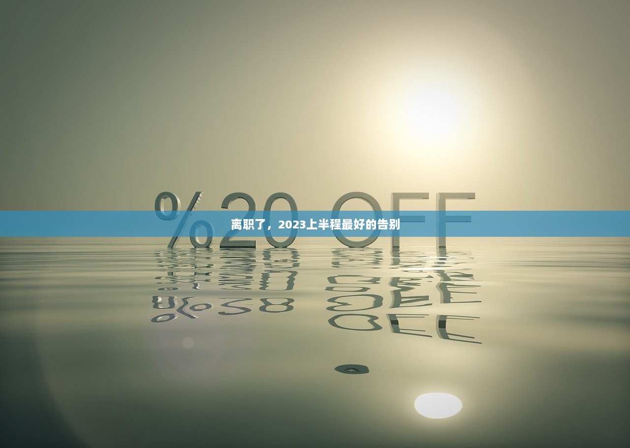 离职了，2023上半程最好的告别