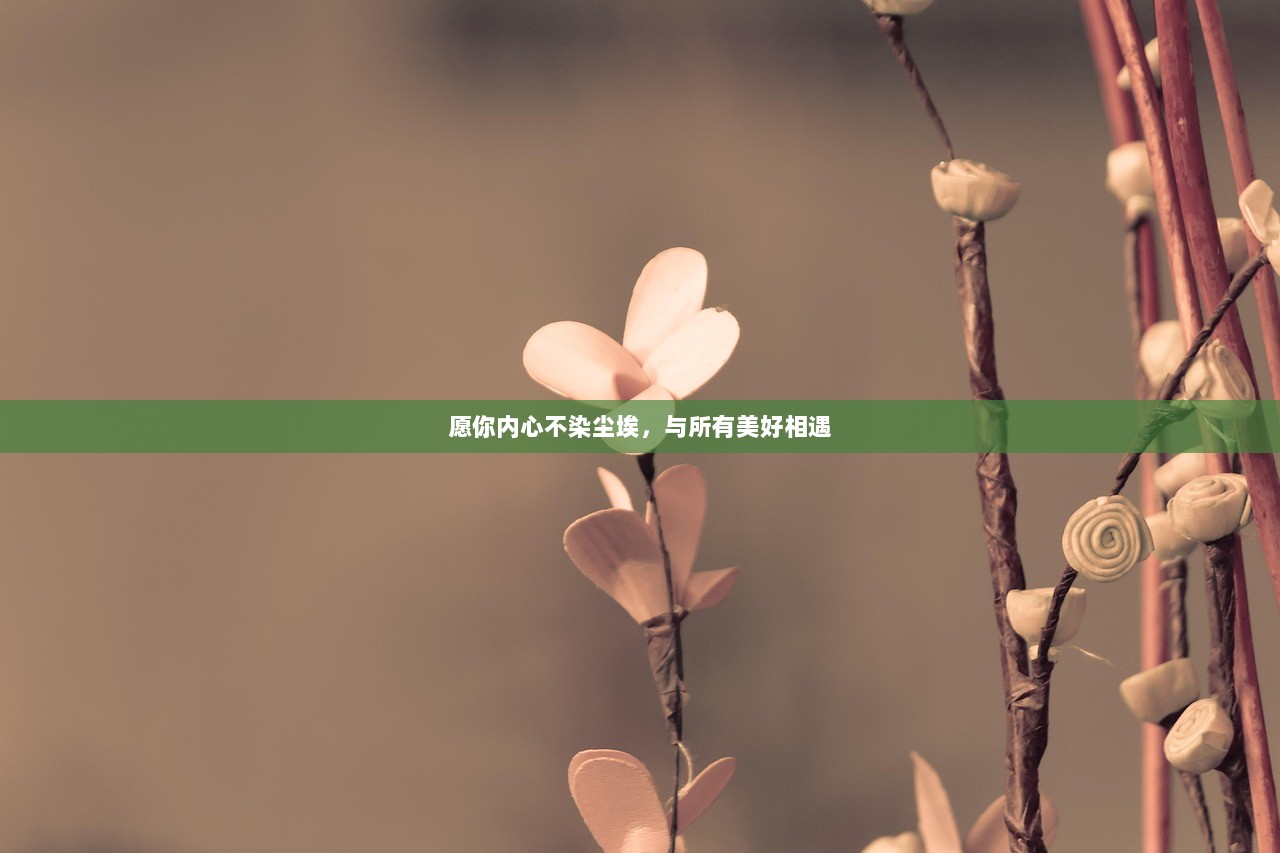 愿你内心不染尘埃，与所有美好相遇