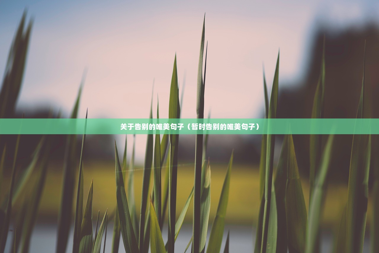 关于告别的唯美句子（暂时告别的唯美句子）