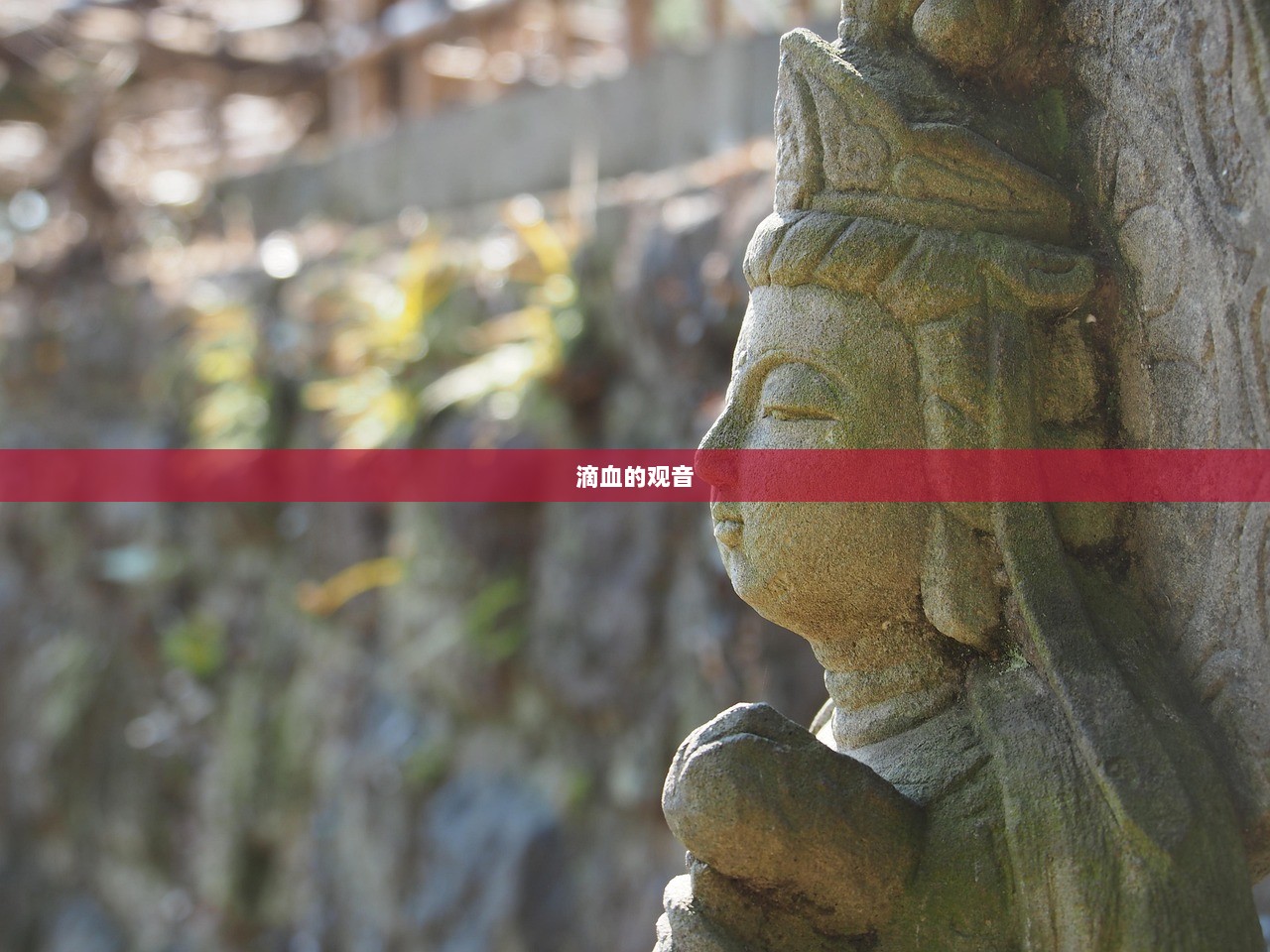 滴血的观音