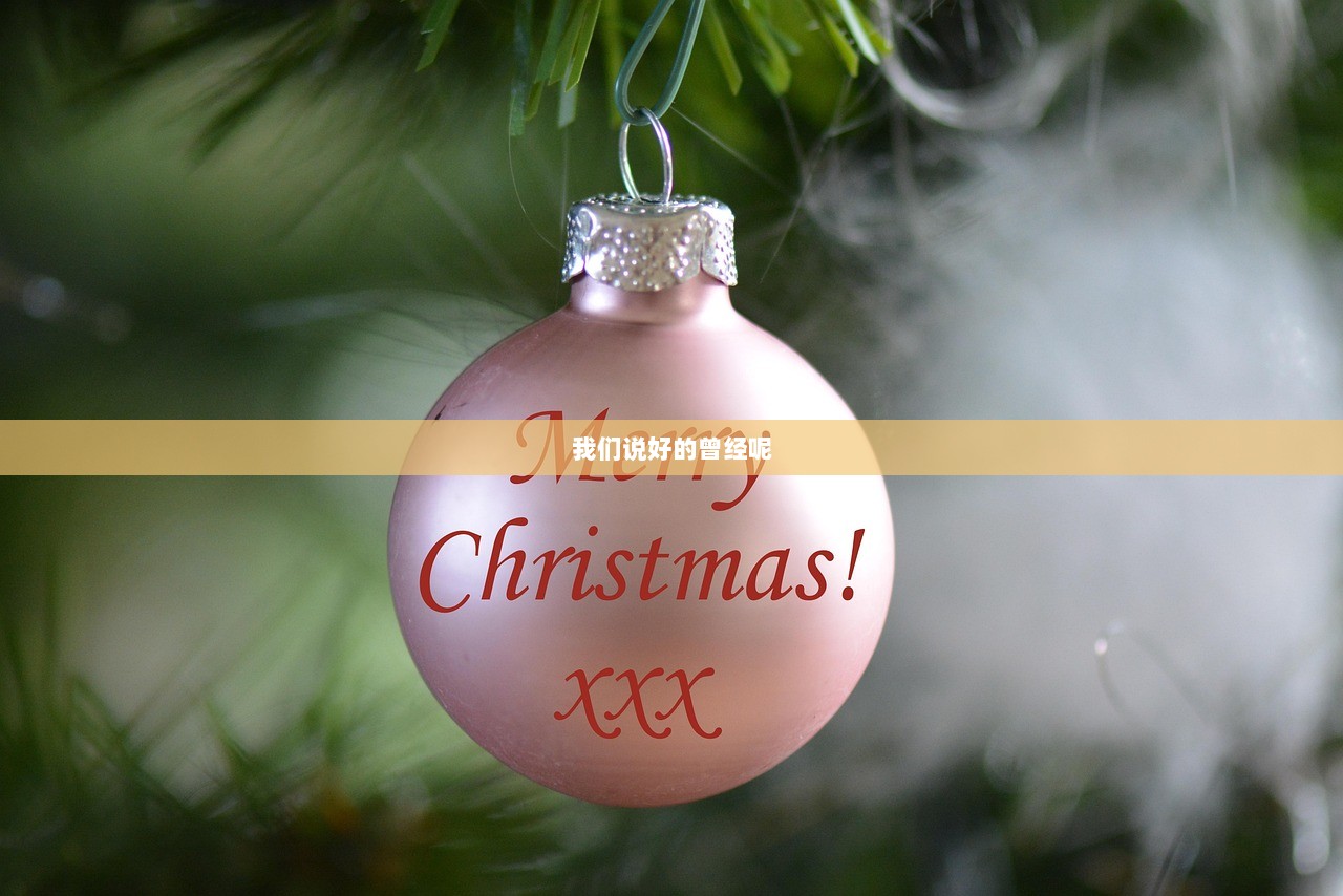 我们说好的曾经呢