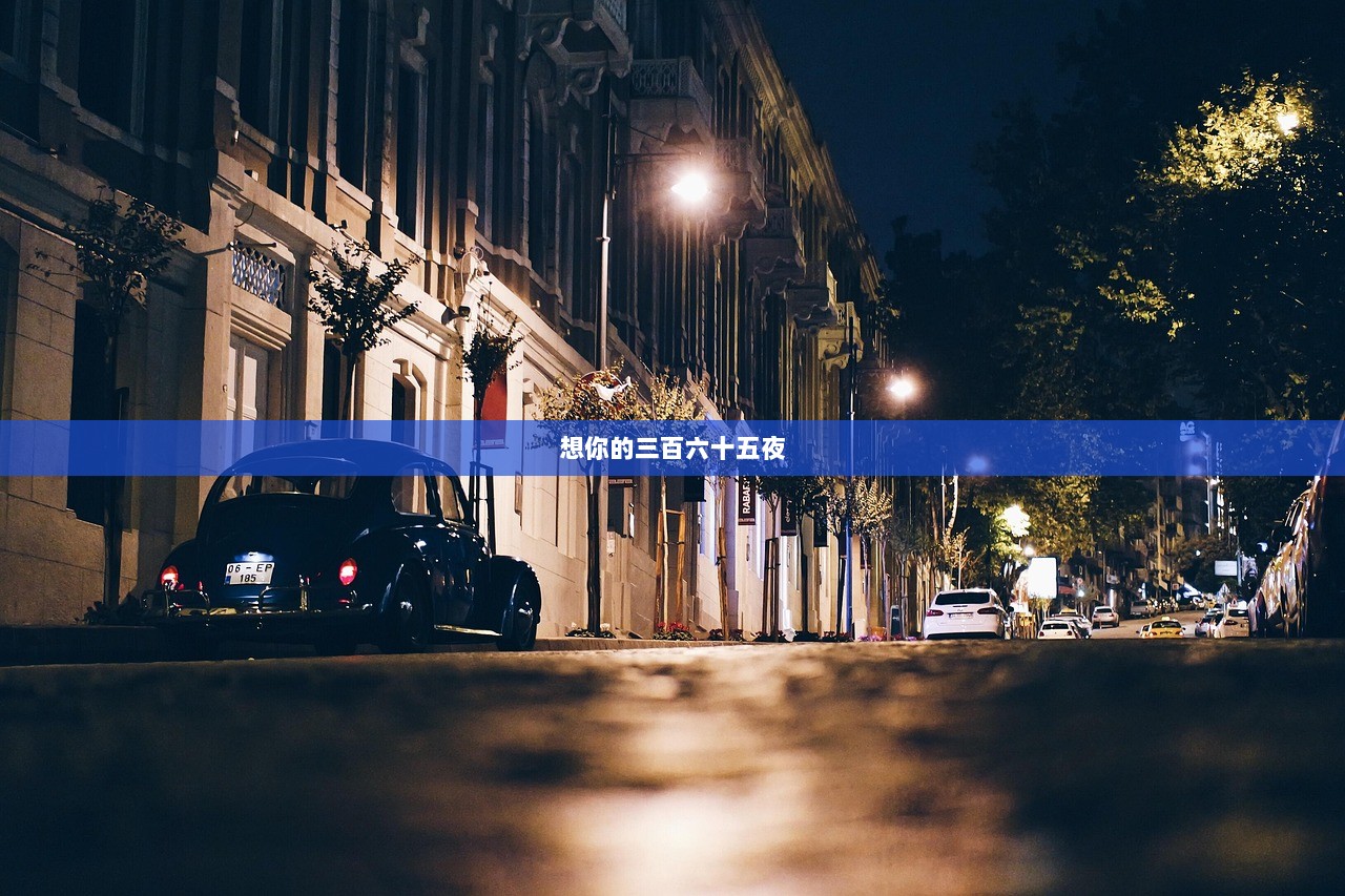 想你的三百六十五夜