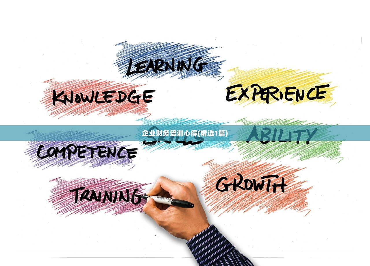 企业财务培训心得(精选1篇)