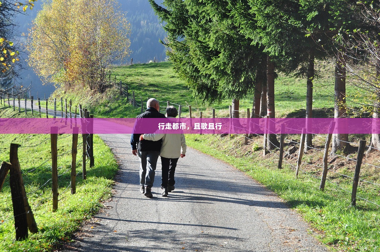 行走都市，且歌且行