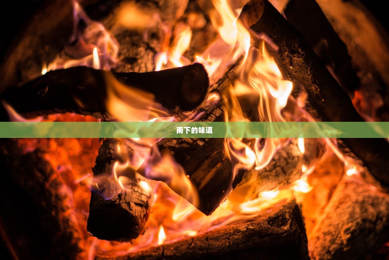南下的味道