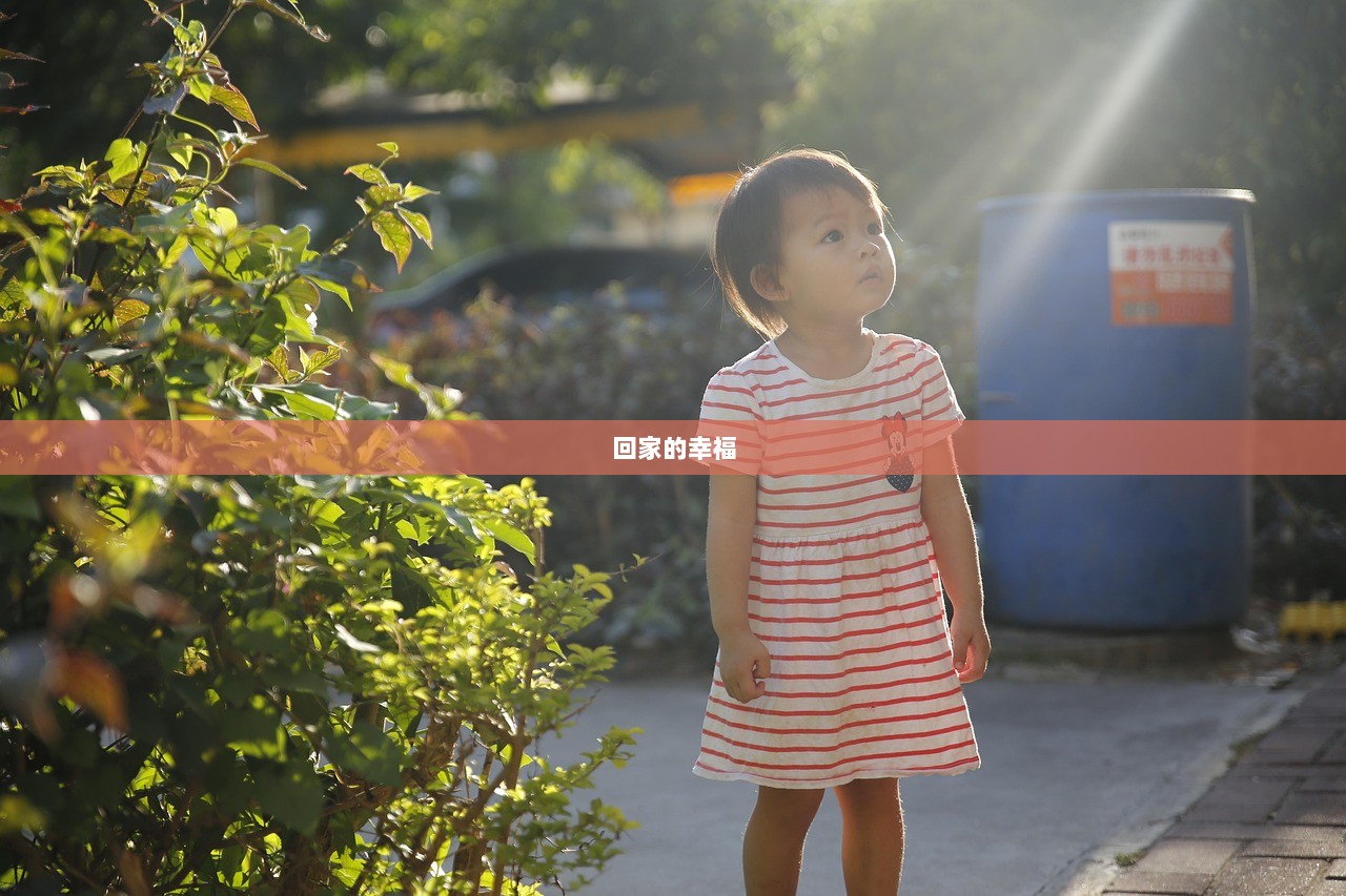 回家的幸福