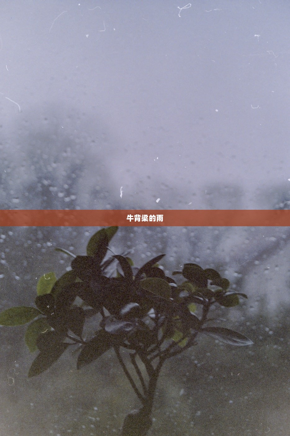 牛背梁的雨