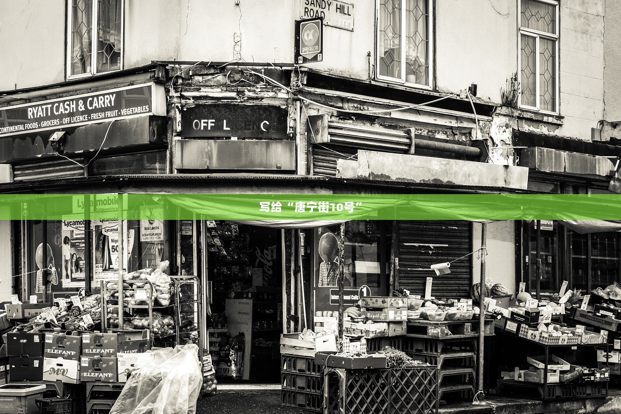 写给“唐宁街10号”