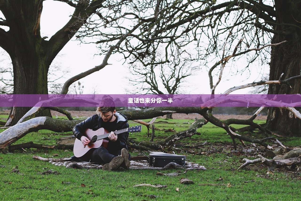 童话也来分你一半