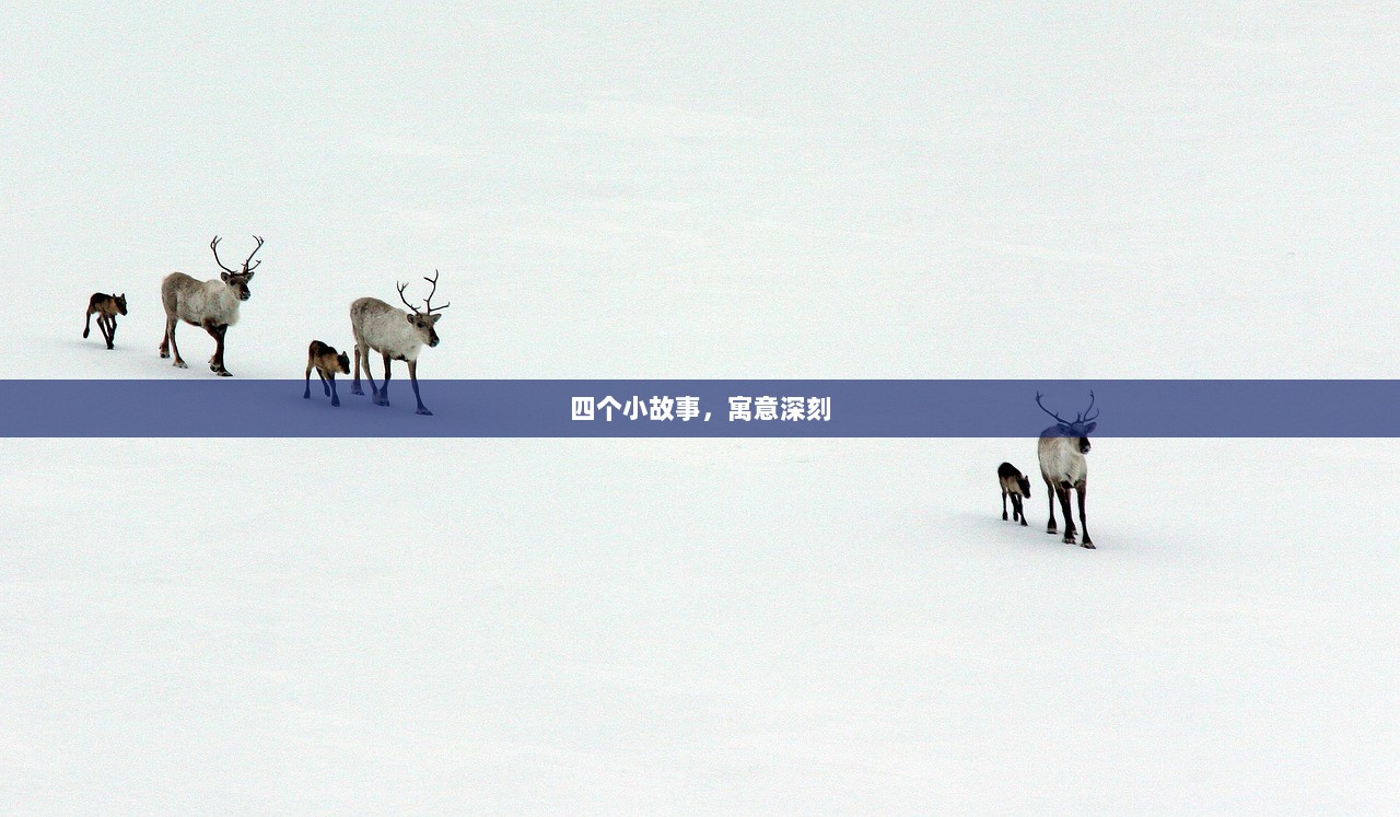 四个小故事，寓意深刻