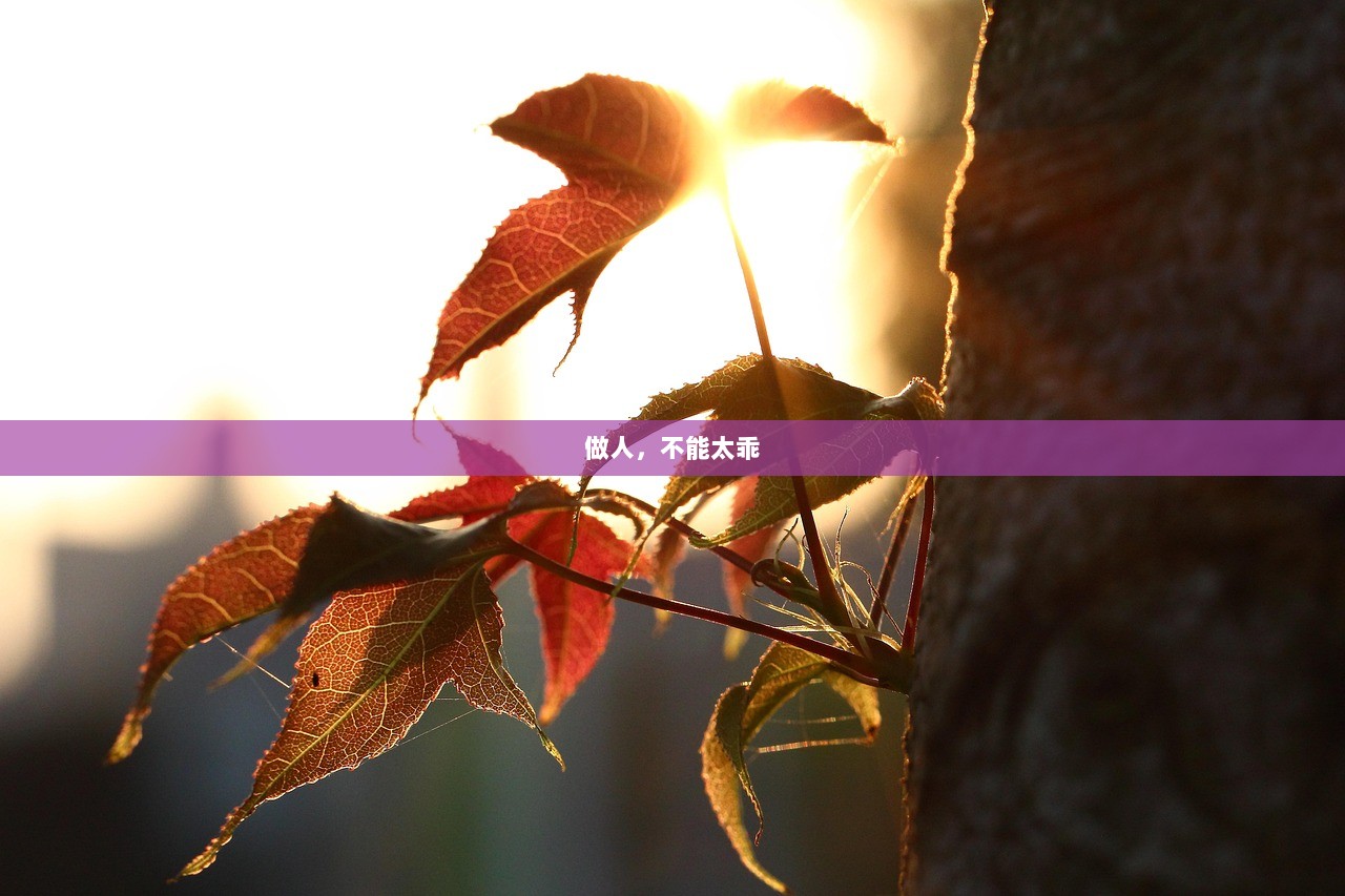 做人，不能太乖