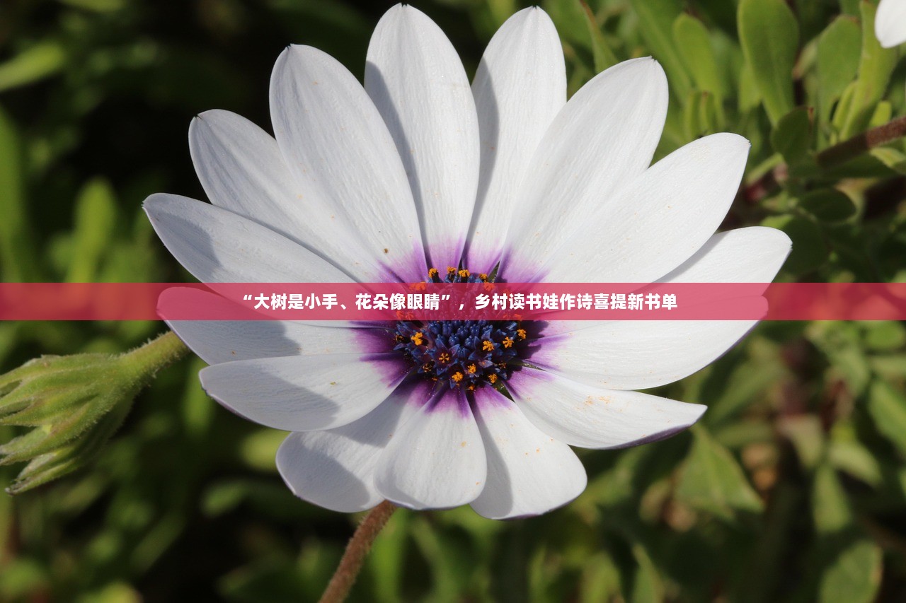 “大树是小手、花朵像眼睛”，乡村读书娃作诗喜提新书单