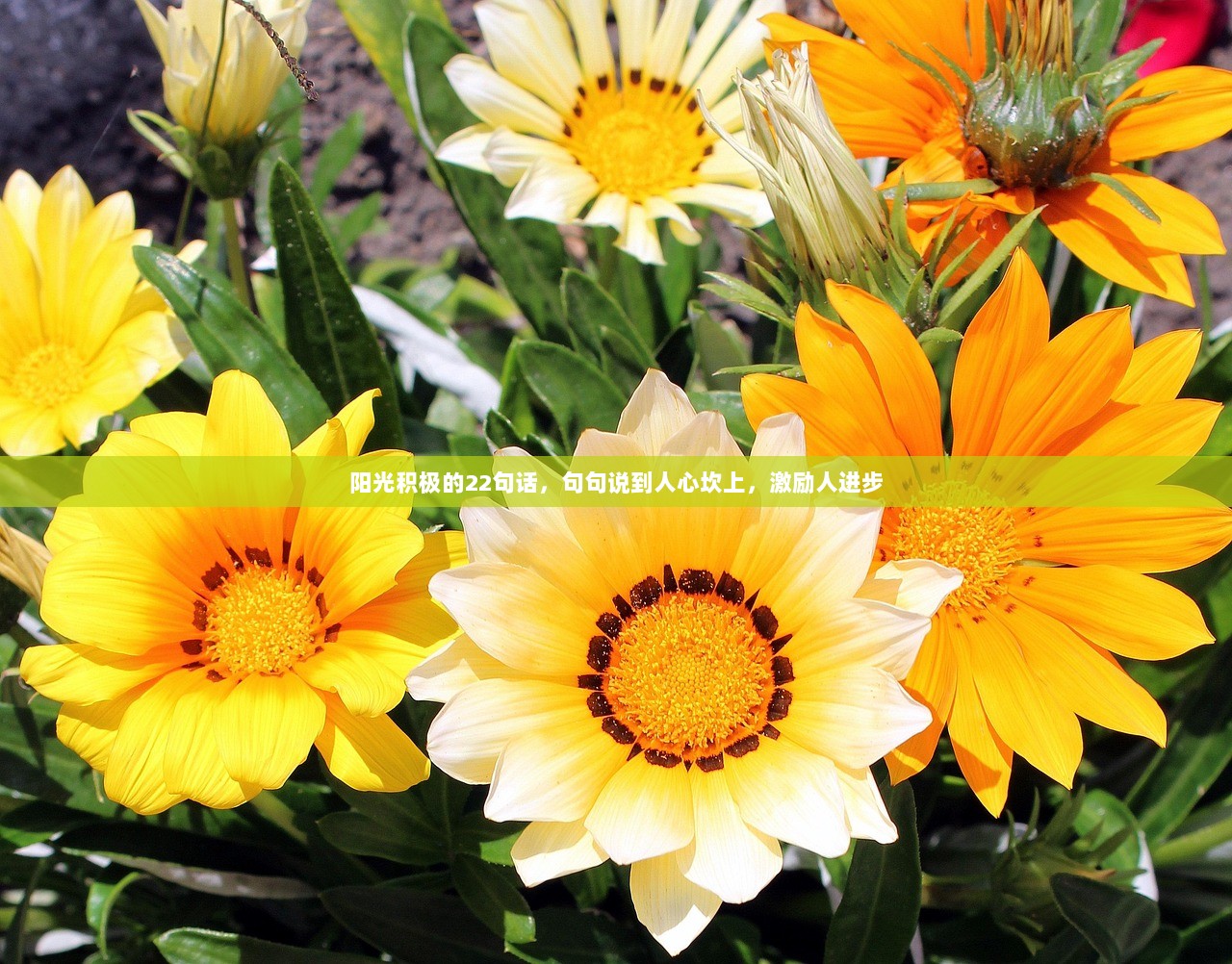 阳光积极的22句话，句句说到人心坎上，激励人进步