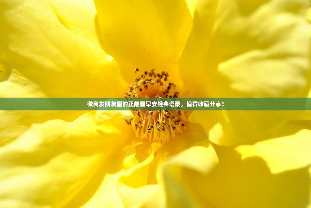 微商发朋友圈的正能量早安经典语录，值得收藏分享！