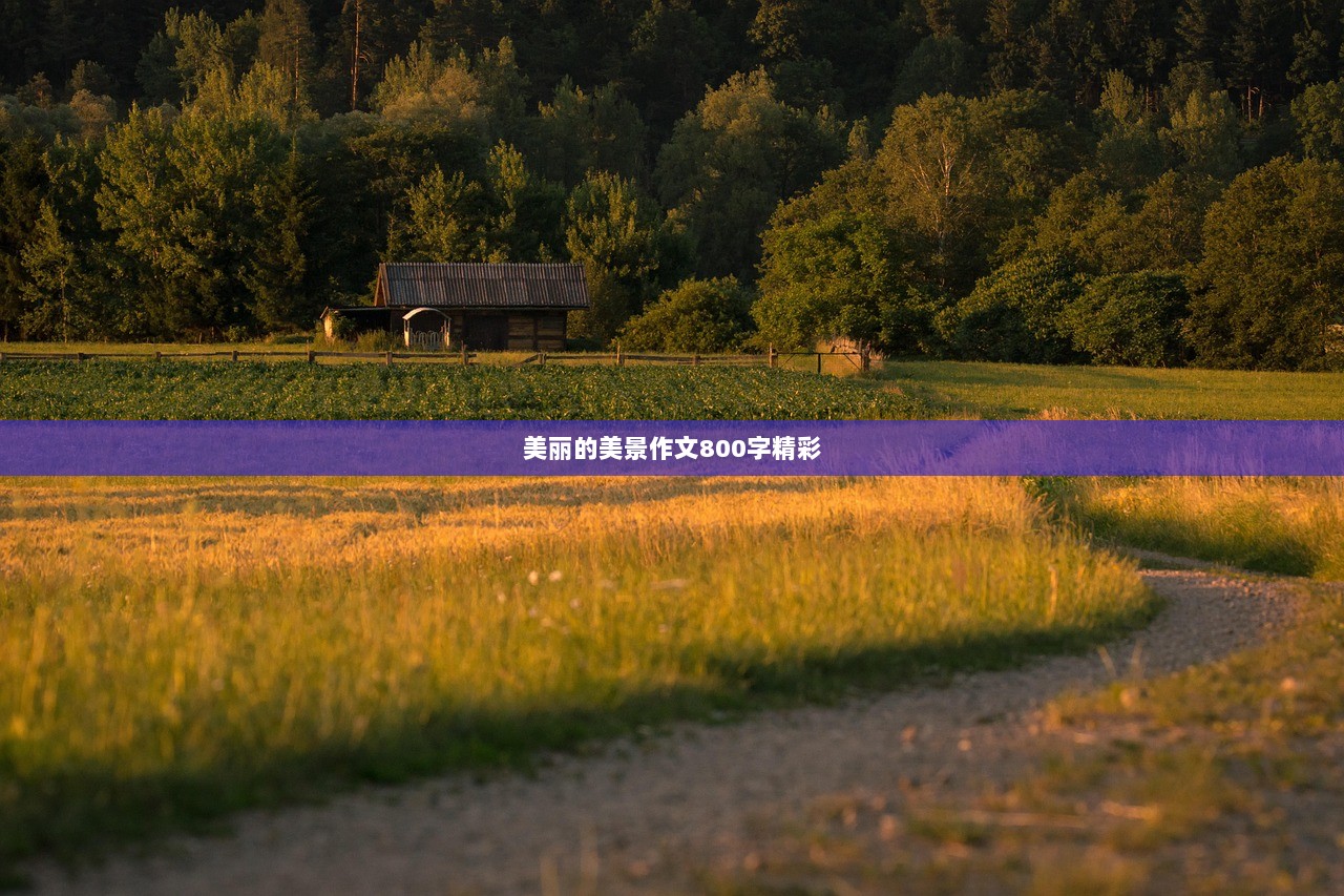 美丽的美景作文800字精彩