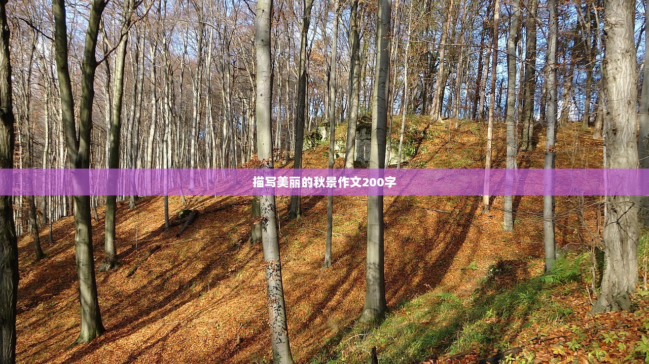描写美丽的秋景作文200字