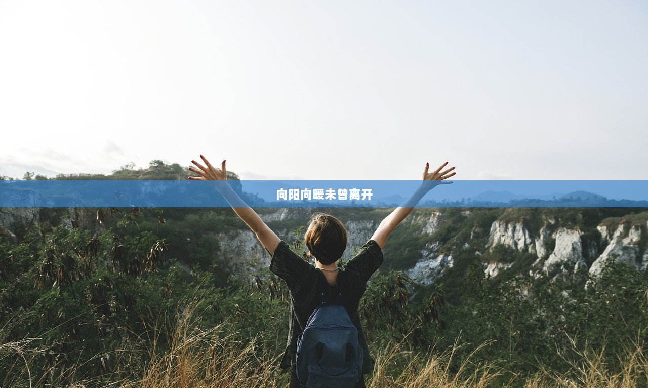 向阳向暖未曾离开