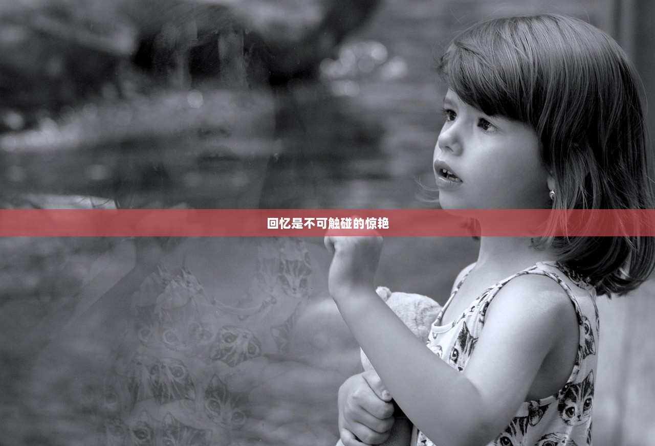 回忆是不可触碰的惊艳