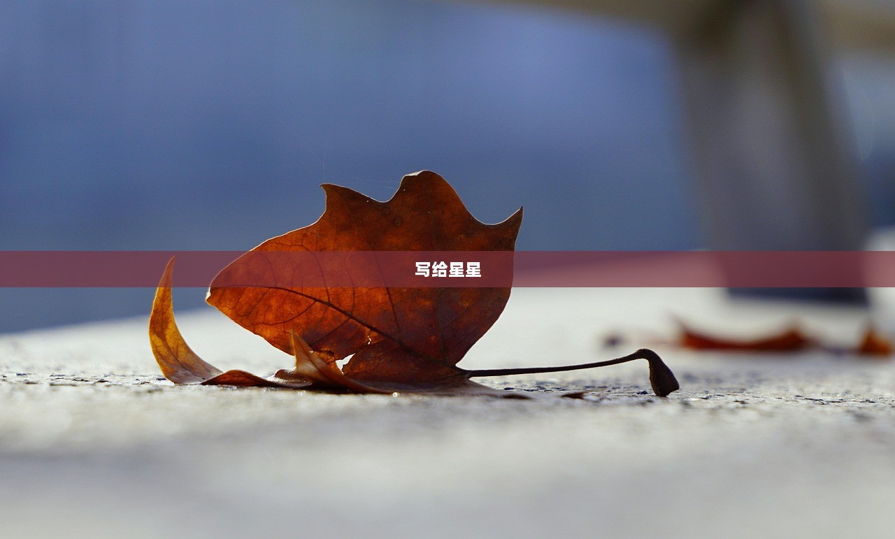 写给星星