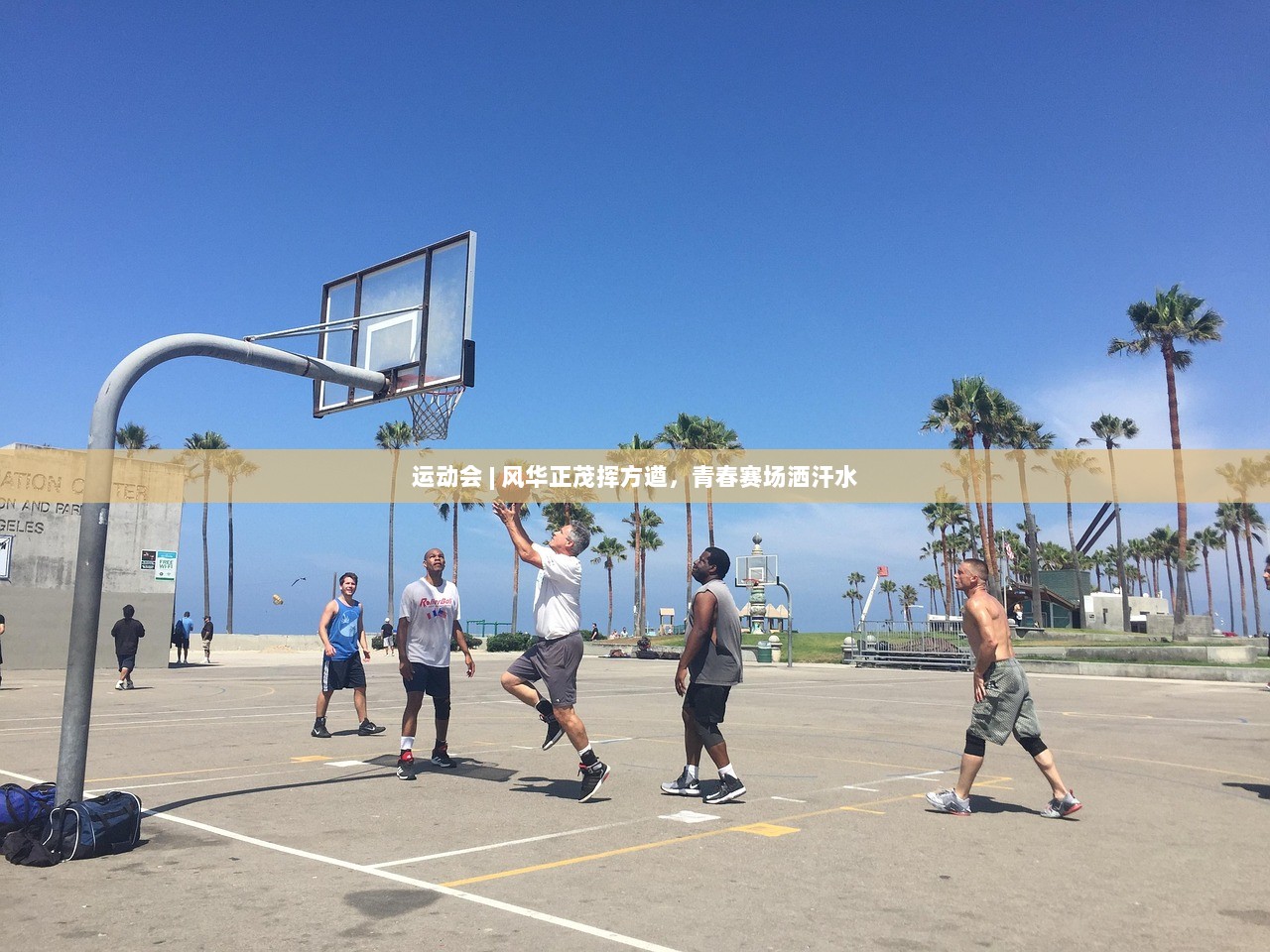 运动会 | 风华正茂挥方遒，青春赛场洒汗水  第1张