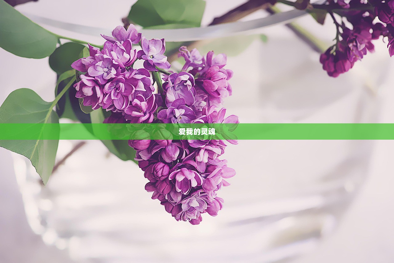 爱我的灵魂