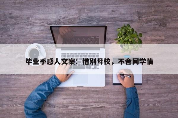 毕业季感人文案：惜别母校，不舍同学情