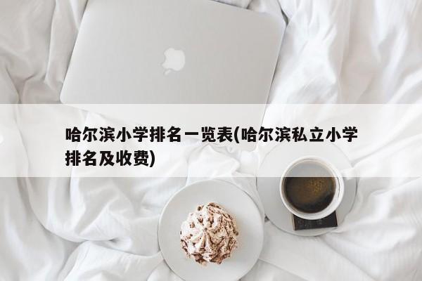 哈尔滨小学排名一览表(哈尔滨私立小学排名及收费)